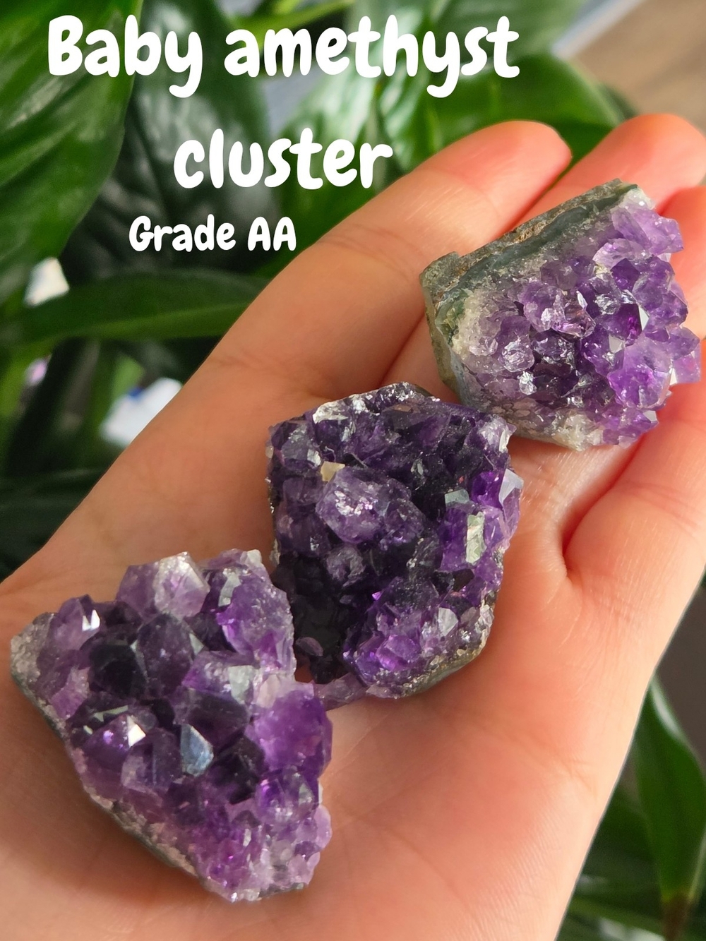 Baby Amethyst Clusters Of High Quality